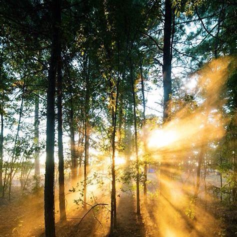 The Place After the&nbsp;Spiral