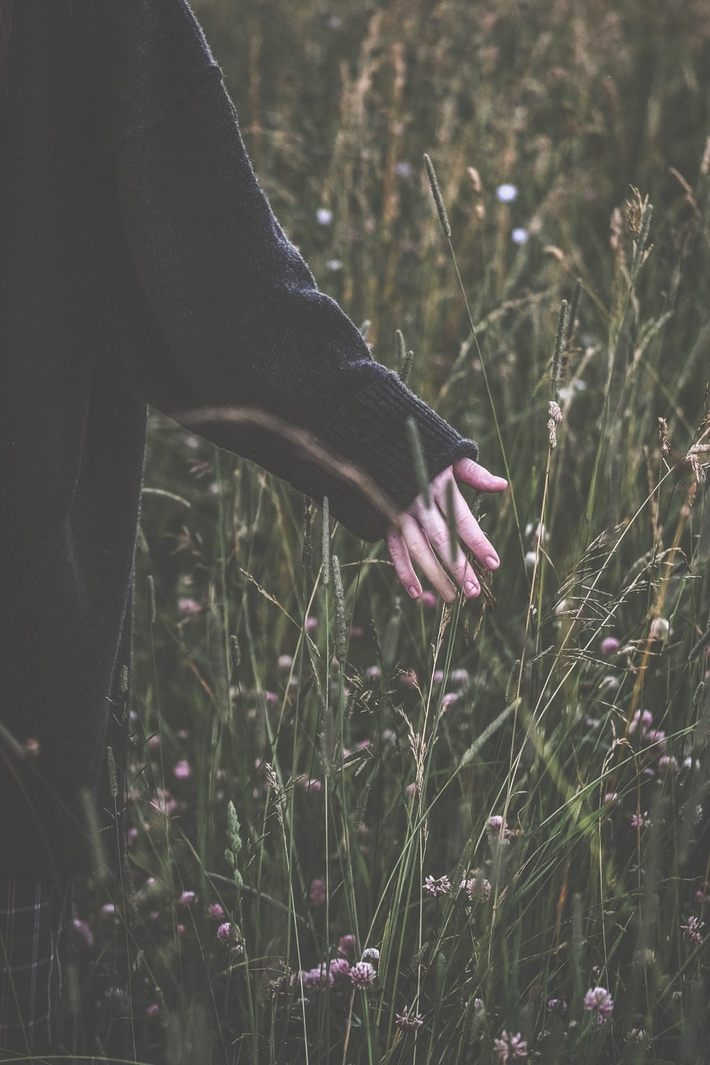 The Life I Refused to Inherit – Chapter 1: Earned&nbsp;Softness