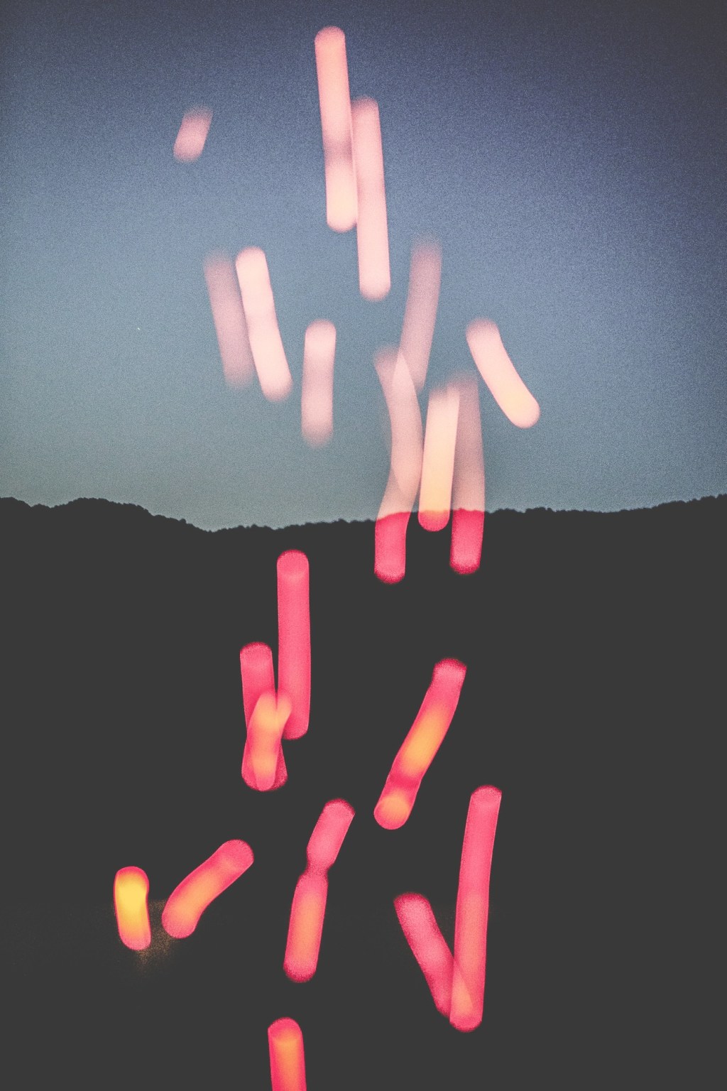 Coda — The Life I Refused to&nbsp;Inherit